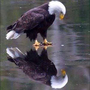 Meet your Posher, Robert